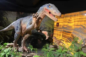 Descubre Era Sauria, la exposición con más de 40 dinosaurios en Toluca, a menos de una hora de CDMX. Te explicamos qué encontrarás, precios y cómo llegar en transporte público paso a paso. ¿Eres fan de los dinosaurios?