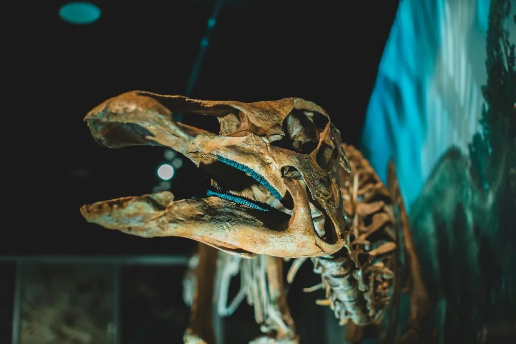 Descubre Era Sauria, la exposición con más de 40 dinosaurios en Toluca, a menos de una hora de CDMX. Te explicamos qué encontrarás, precios y cómo llegar en transporte público paso a paso. ¿Eres fan de los dinosaurios?
