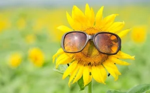 Descubre cuándo empieza la primavera 2026 en México y por qué la fecha cambia cada año. Te explicamos el equinoccio con base científica y clara. ¿Ya lo sabías?