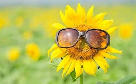 Descubre cuándo empieza la primavera 2026 en México y por qué la fecha cambia cada año. Te explicamos el equinoccio con base científica y clara. ¿Ya lo sabías?