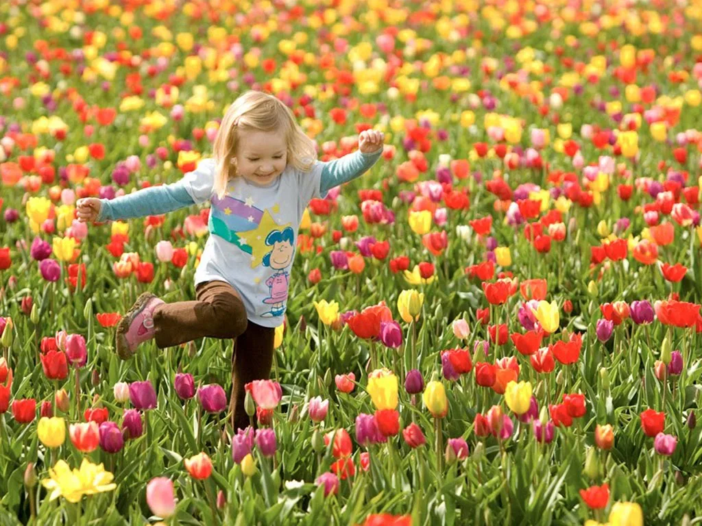 Descubre cuándo empieza la primavera 2026 en México y por qué la fecha cambia cada año. Te explicamos el equinoccio con base científica y clara. ¿Ya lo sabías?