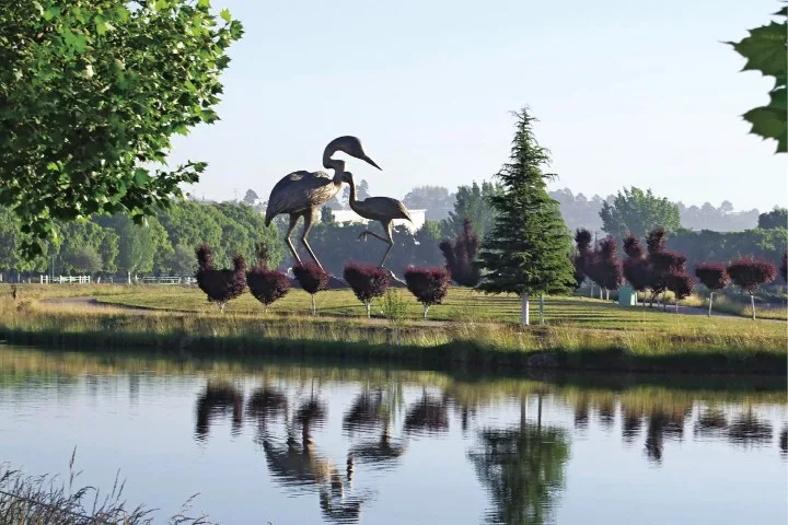 Este corredor turístico ofrece una experiencia distinta, donde la naturaleza, la cultura y la tecnología se entrelazan en uno de los Pueblos Mágicos más sorprendentes del norte de México. ¡Conócelo!