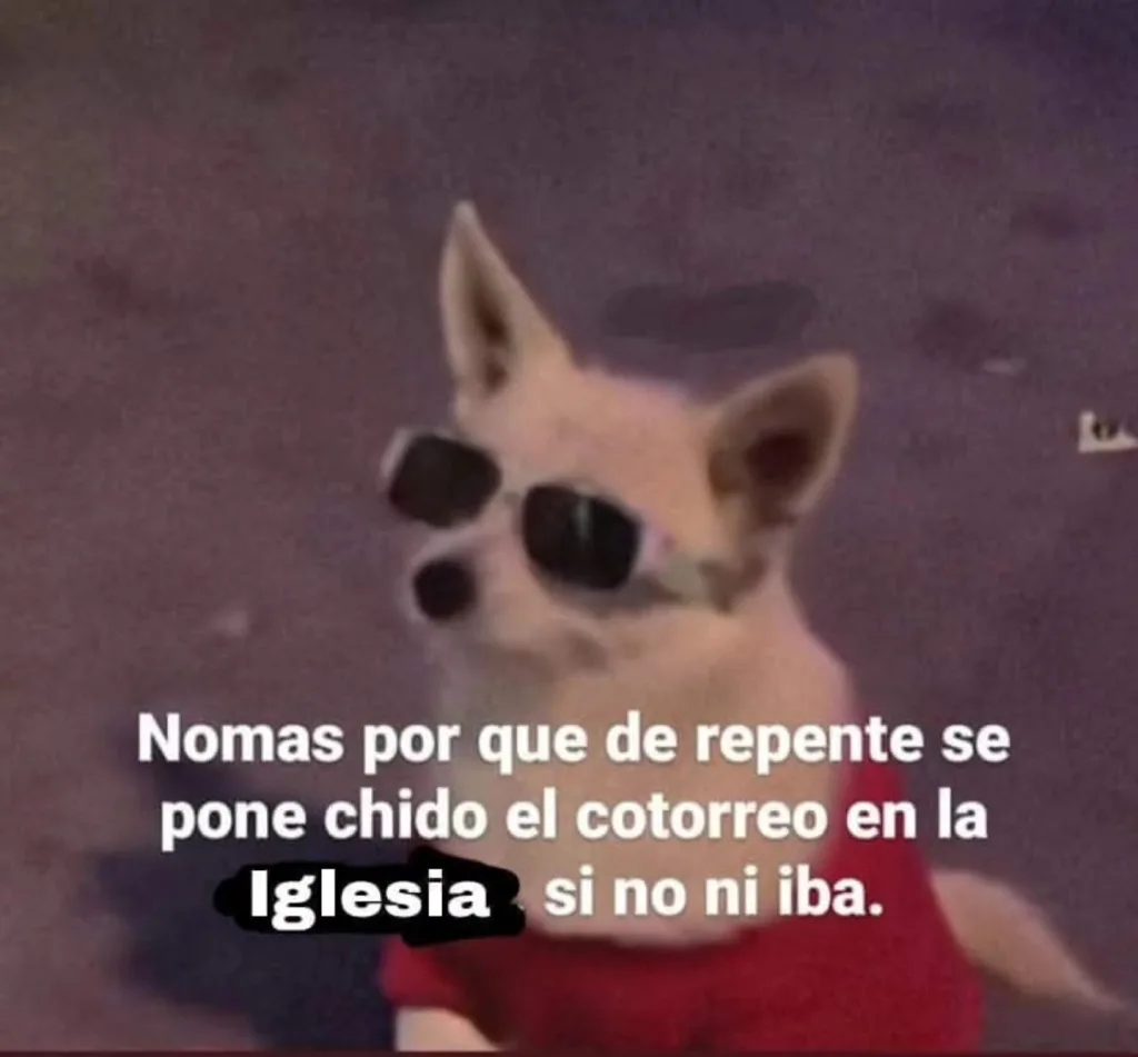 Descubre el origen de la palabra “chido”, uno de los modismos más populares del español mexicano. Conoce su significado, historia, cómo se popularizó en México y por qué sigue siendo parte esencial del lenguaje cotidiano. ¿La dices seguido?