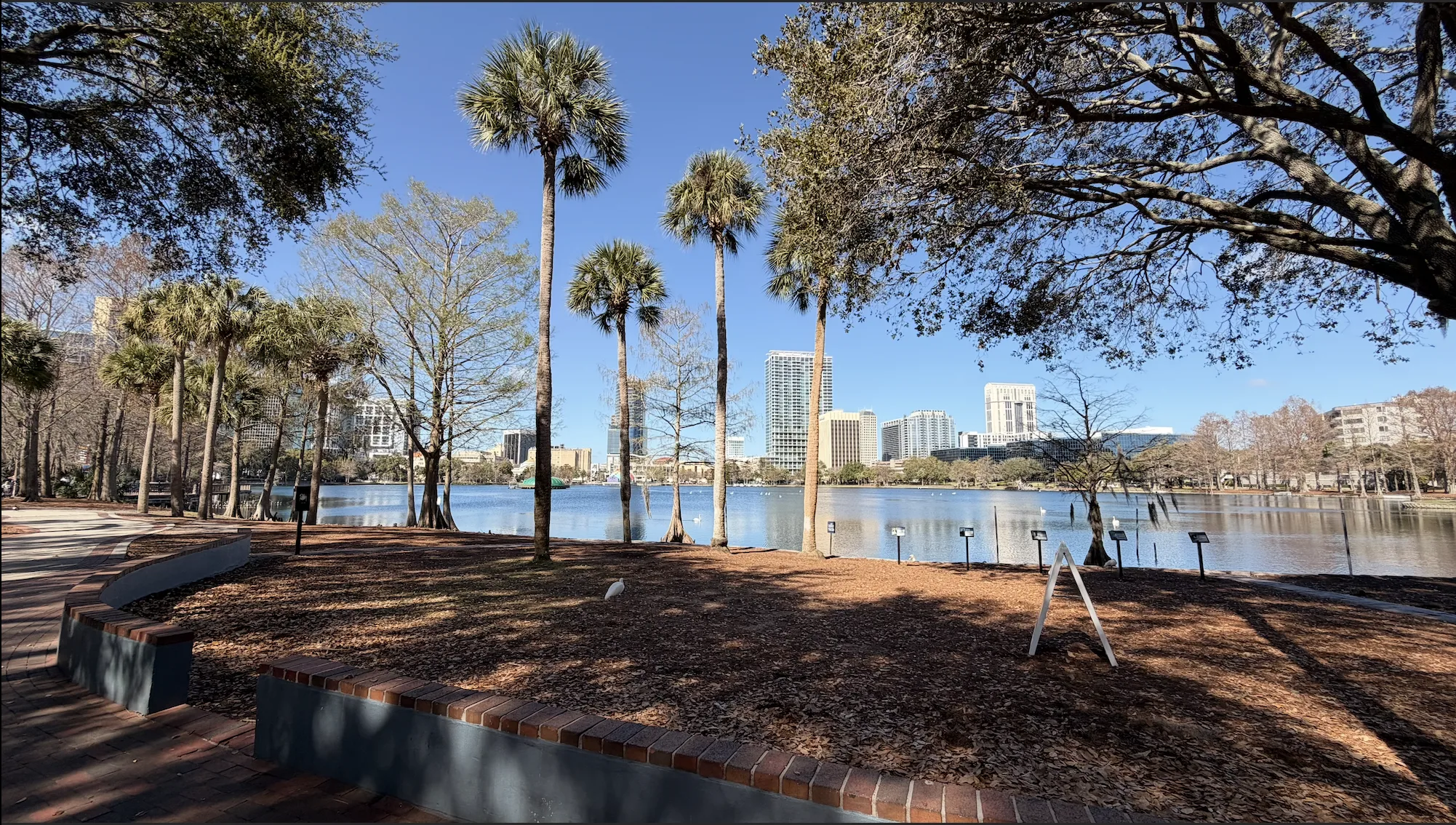 Orlando más allá de los parques: un viaje que comienza mucho antes de entrar a Disney