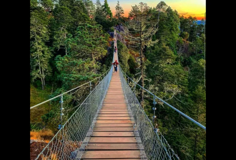 En Amatlán de Quetzalcóatl puedes hacer senderismo.