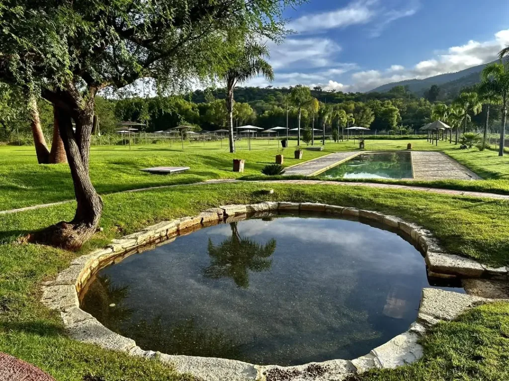 Descubre las mejores aguas termales en Hidalgo, sus beneficios, historia y los destinos imperdibles para relajarte entre montañas. Una experiencia natural única en México. ¿Te vas a lanzar?