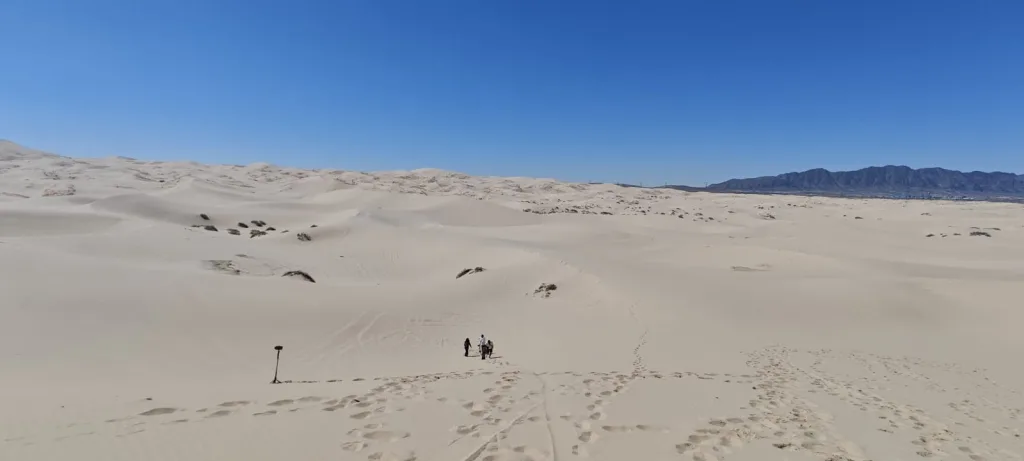 Descubre las Dunas de Samalayuca en Chihuahua, un impresionante paisaje desértico ideal para aventura, fotografía y conexión con la naturaleza. ¿Las conoces?