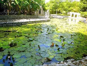 Descubre El Sabinal, un oasis ecológico en Nuevo León y santuario del cangrejo de agua dulce ubicado a 99 km de Monterrey. Naturaleza, historia y biodiversidad en un parque único del norte de México. ¿Cuándo te apuntas para esta aventura?