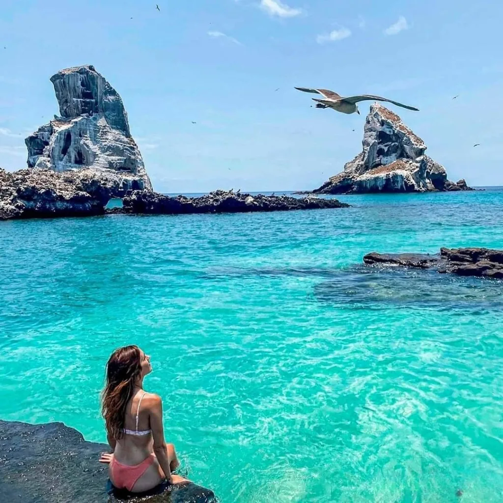 Descubre Isla Isabel, conocida como la “Galápagos mexicana”, un paraíso natural frente a las costas de Nayarit con biodiversidad única, historia fascinante y paisajes impresionantes. ¿Te vas a lanzar a esta aventura?