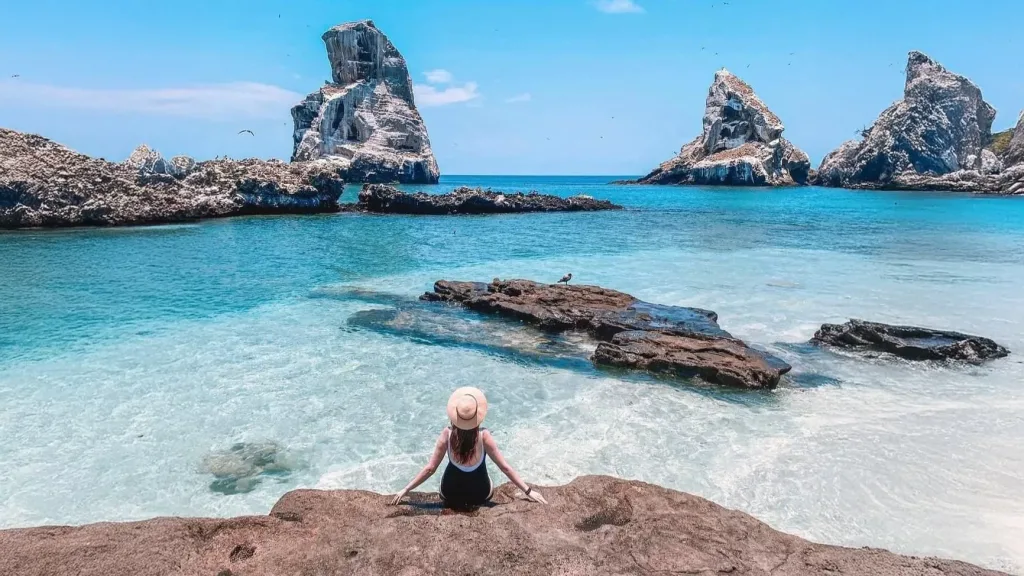 Descubre Isla Isabel, conocida como la “Galápagos mexicana”, un paraíso natural frente a las costas de Nayarit con biodiversidad única, historia fascinante y paisajes impresionantes. ¿Te vas a lanzar a esta aventura?