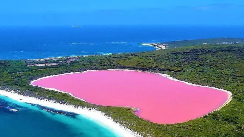 Descubre las lagunas rosas de México como Las Coloradas, Laguna Vista Hermosa, Salineras de Xtampú y Playa Rosa. Conoce por qué son rosadas, su historia y cómo visitarlas. ¿Conoces alguna?