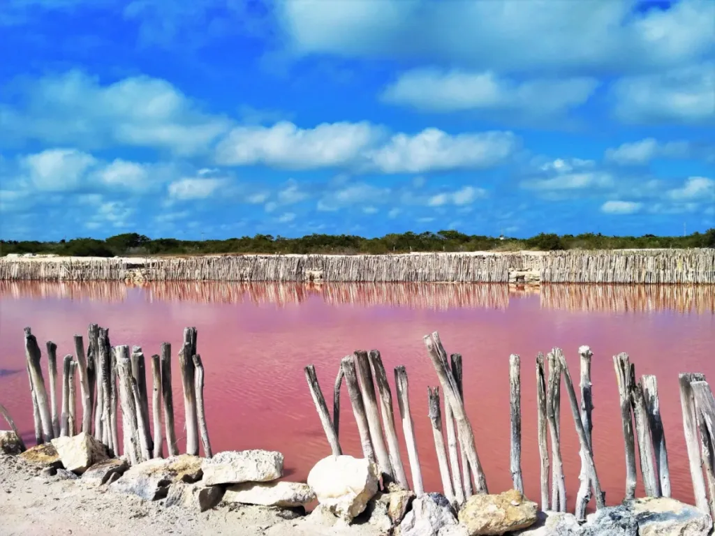Descubre las lagunas rosas de México como Las Coloradas, Laguna Vista Hermosa, Salineras de Xtampú y Playa Rosa. Conoce por qué son rosadas, su historia y cómo visitarlas. ¿Conoces alguna?