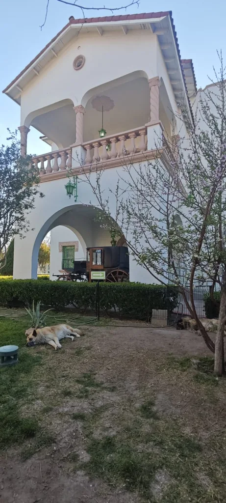 Descubre el Museo de Juan Gabriel en Ciudad Juárez, su historia, origen, datos curiosos y qué ver en este recinto dedicado al Divo de Juárez. Una guía completa para visitarlo.