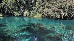 Descubre Las Estacas en Morelos, un paraíso natural con pozas cristalinas a solo 2 horas de la CDMX. Historia, cómo llegar, qué hacer y tips para disfrutar este oasis natural. ¿Cuándo vas a conocerlas?