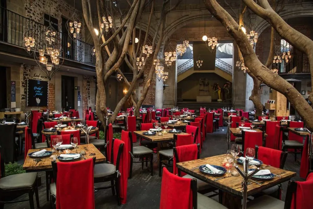 Descubre las mejores terrazas del Centro Histórico de la CDMX para disfrutar comida increíble con vistas únicas al corazón de la ciudad.