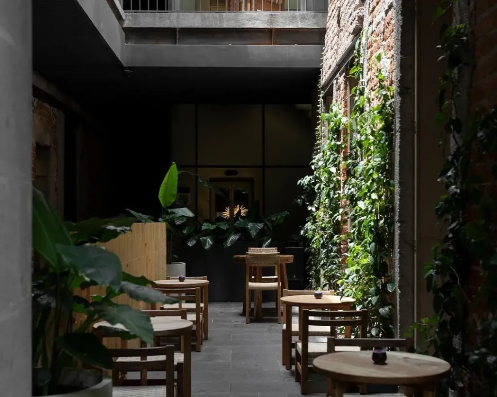 Descubre las mejores terrazas del Centro Histórico de la CDMX para disfrutar comida increíble con vistas únicas al corazón de la ciudad.