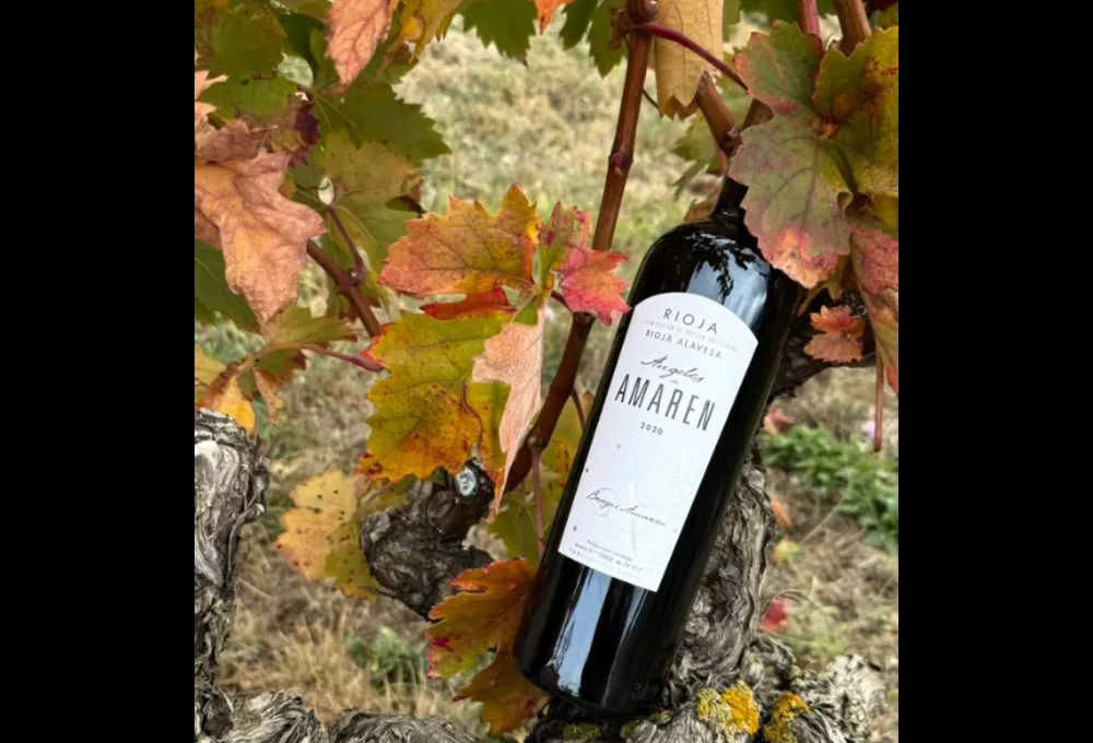 Ángeles de Amaren, de Bodegas Luis Cañas (en la Rioja Alavesa)