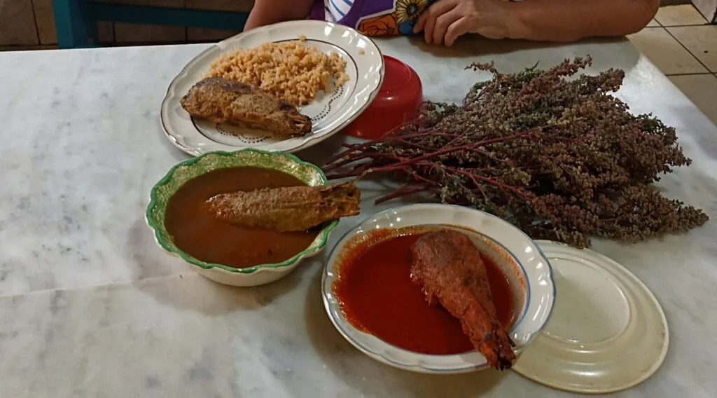 Descubre el Festival del Huauzontle 2026 en Morelos: gastronomía tradicional, cultura local y un evento único para disfrutar en familia ¿Te vas a lanzar?