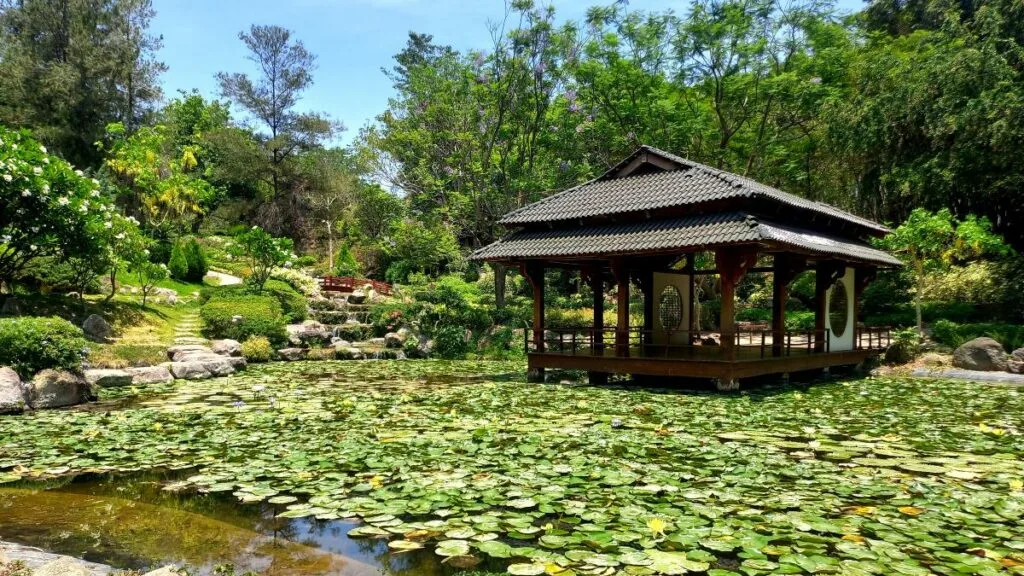 Celebra la llegada de la primavera en Jardines de México, el jardín floral más grande del país. Descubre actividades, espectáculos y experiencias para disfrutar un fin de semana lleno de naturaleza.