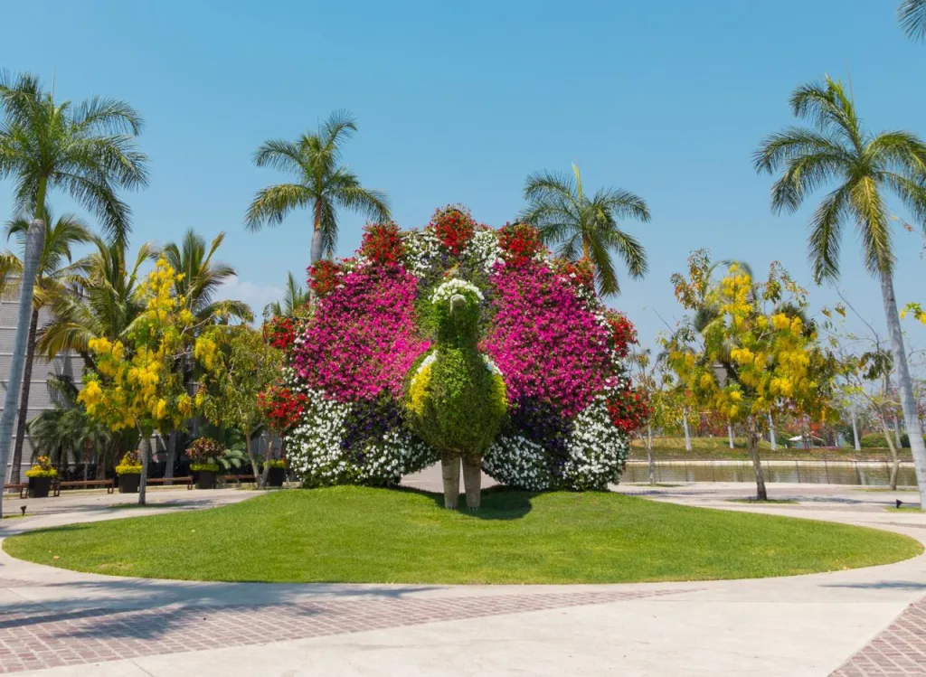 Celebra la llegada de la primavera en Jardines de México, el jardín floral más grande del país. Descubre actividades, espectáculos y experiencias para disfrutar un fin de semana lleno de naturaleza.