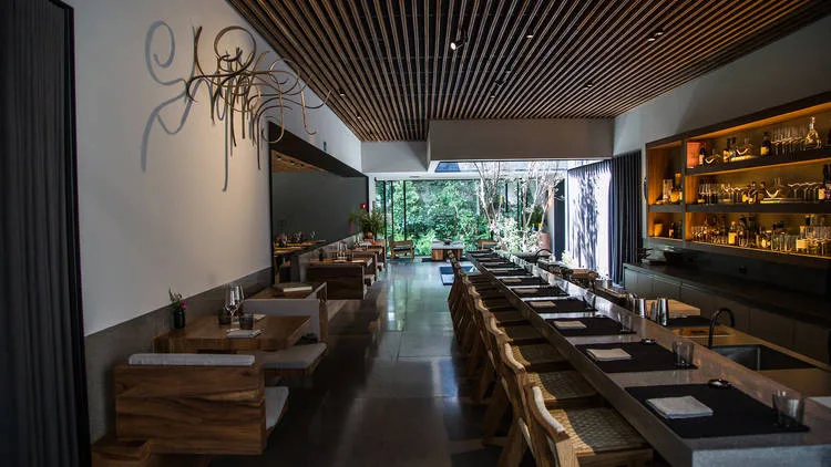 Descubre Quintonil y Pujol, los únicos restaurantes con dos estrellas Michelin en México. Alta cocina, historia y experiencia única en CDMX. ¿Los conoces?