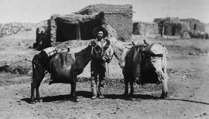 Descubre el origen de los burritos de Chihuahua, su historia, curiosidades y aprende a prepararlos en casa con una receta tradicional del norte de México. ¿Los has probado?