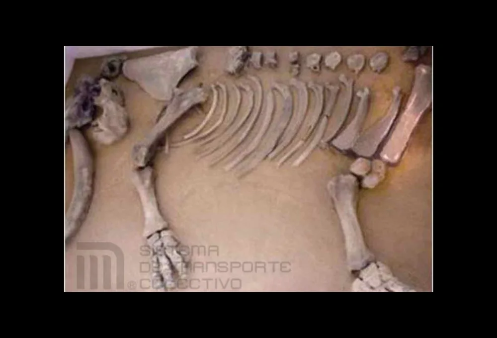 15 secretos del Metro de la CDMX: El Mamut de Talismán.