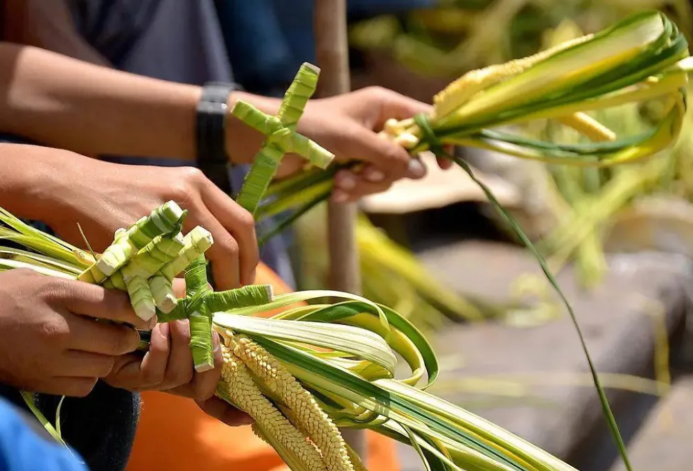La "Palma Bendita" en Domingo de Ramos.