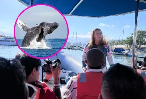 Nosotros fuimos y te lo confirmamos: La magia de las ballenas en Puerto Vallarta sigue viva (¡Última llamada!)