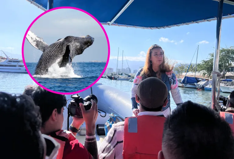 Nosotros fuimos y te lo confirmamos: La magia de las ballenas en Puerto Vallarta sigue viva (¡Última llamada!)
