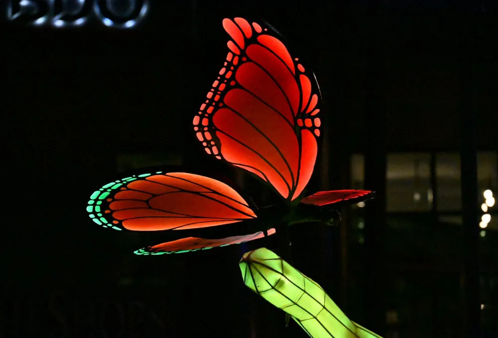 "Solo la Luz, Primavera" en Paseo de la Reforma