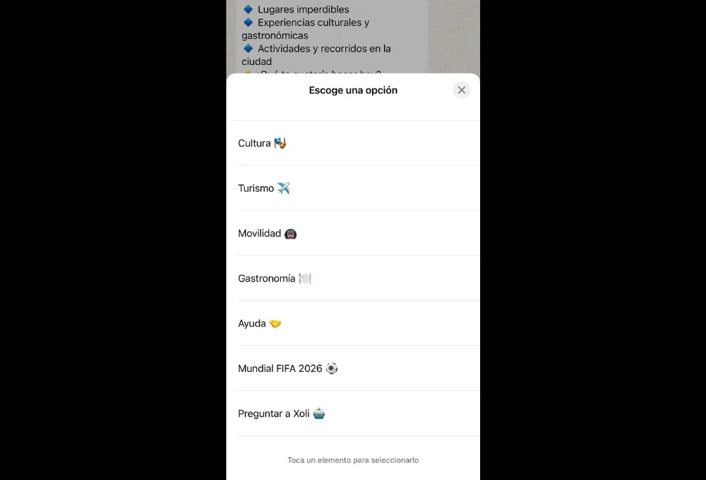 ¿Quién es Xoli? El guía virtual que te llevará de la mano por la CDMX rumbo al Mundial 2026.