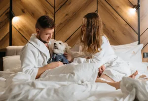 Destinos “Pet-Friendly” en México: Los mejores hoteles para no dejar a tu mejor amigo esta Semana Santa