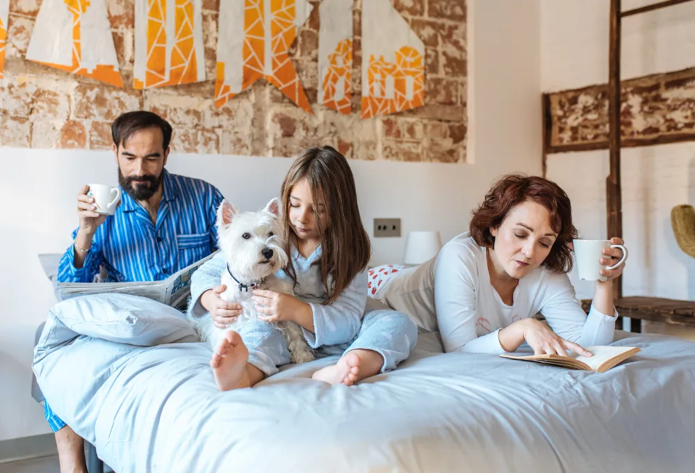 Destinos “Pet-Friendly” en México