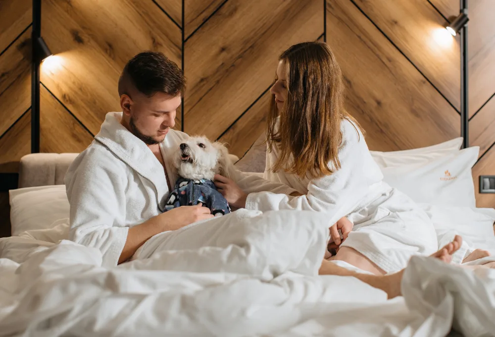 Destinos “Pet-Friendly” en México: Los mejores hoteles para no dejar a tu mejor amigo esta Semana Santa