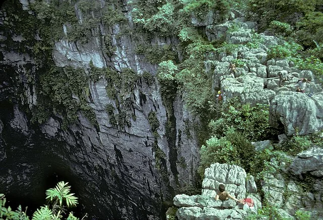 En el corazón de la Huasteca Potosina, el Sótano de las Golondrinas se abre como una grieta monumental en la tierra, tan profunda que la Estatua de la Libertad cabría en su interior/Foto: Wikimedia Commons