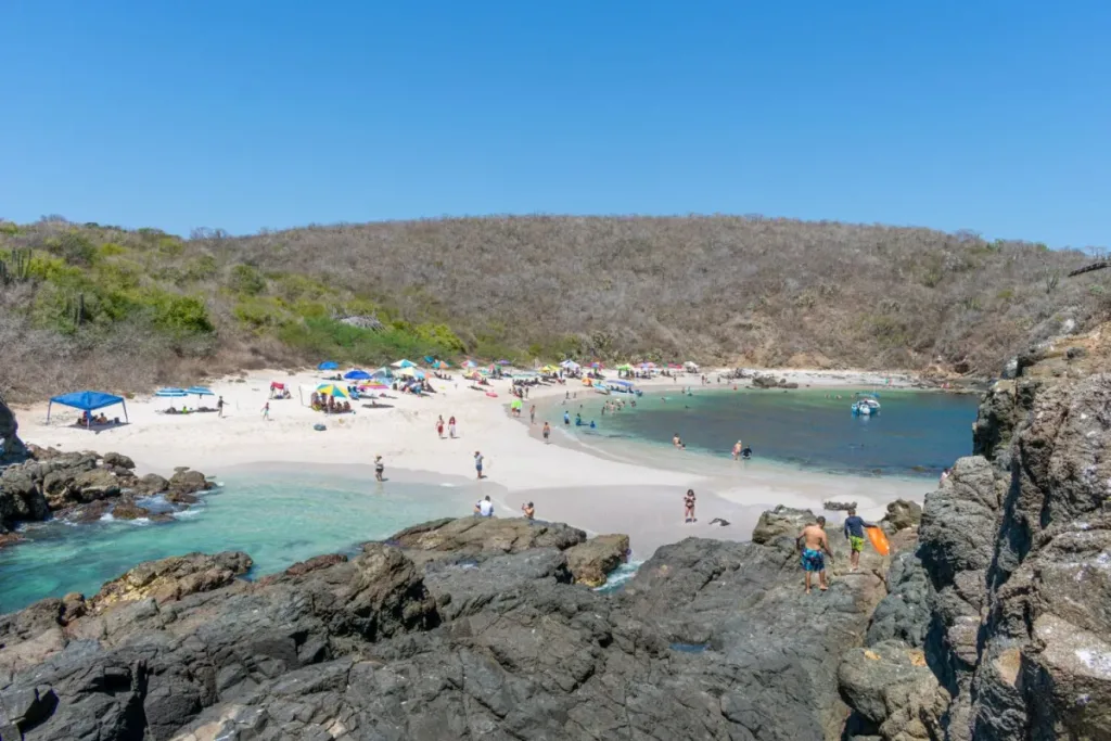 Descubre playas en Jalisco con mar tranquilo, palmeras y excelente gastronomía. Sin duda, lugares ideales para descansar y disfrutar del Pacífico mexicano. ¿Te vas a lanzar?