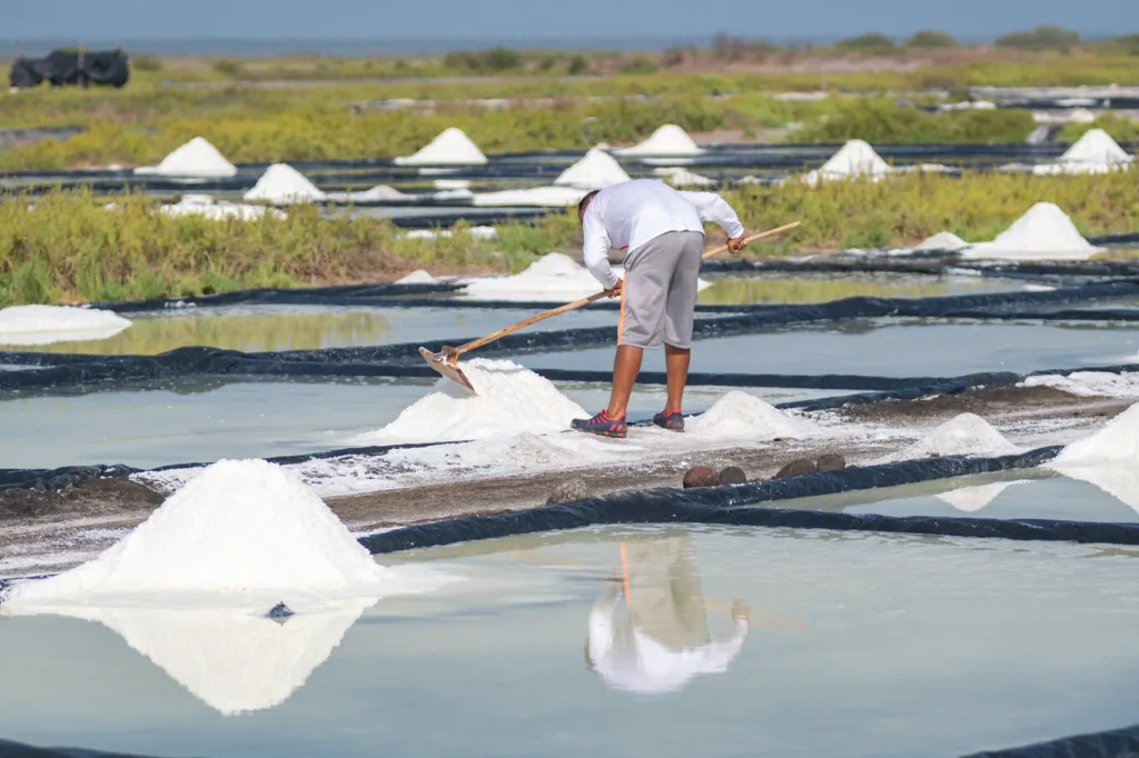 Descubre el destino en México donde se produce el “oro blanco”: la sal de Colima. Conoce su historia, proceso y por qué es clave en la gastronomía.