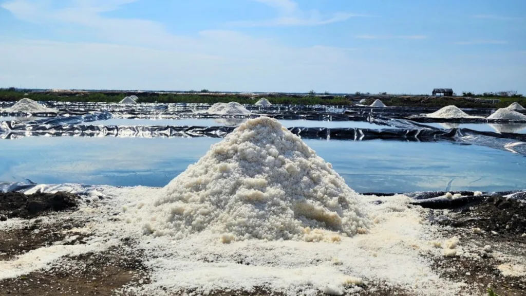 Descubre el destino en México donde se produce el “oro blanco”: la sal de Colima. Conoce su historia, proceso y por qué es clave en la gastronomía.