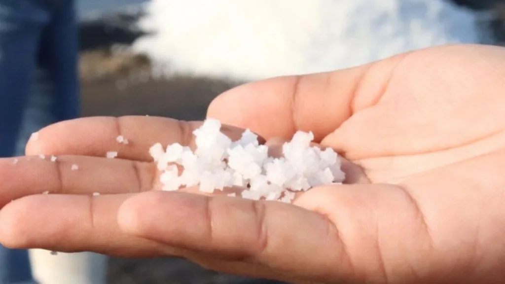 Descubre el destino en México donde se produce el “oro blanco”: la sal de Colima. Conoce su historia, proceso y por qué es clave en la gastronomía.