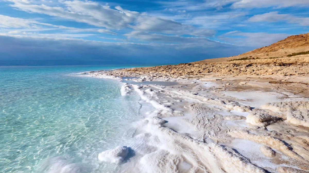 El destino de México donde se produce el “oro blanco” que conquista la cocina