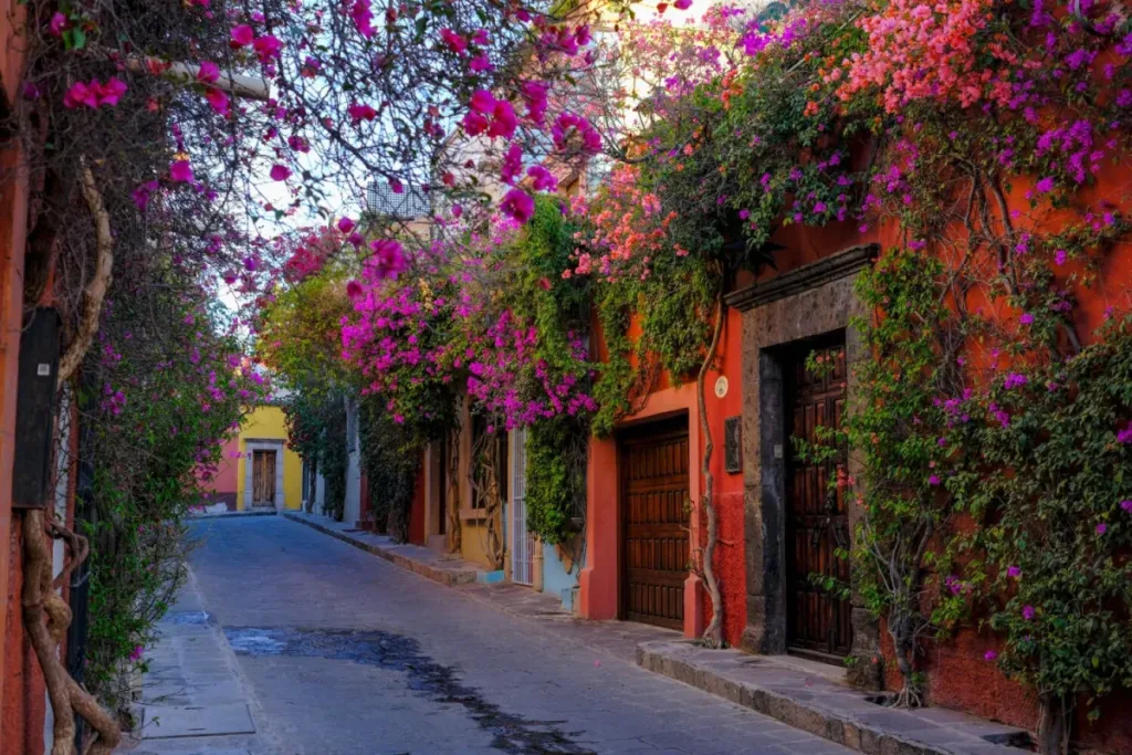 Descubre la calle Aldama en San Miguel de Allende, considerada una de las más bonitas de México. Historia, datos curiosos y qué hacer en este rincón mágico. Es momento de que la conozcas.