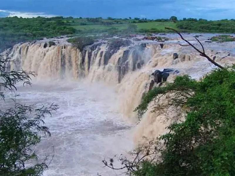 Descubre El Salto, las impresionantes cascadas de Michoacán. Cómo llegar, qué hacer y por qué es uno de los destinos naturales más impactantes. ¡Este lugar te espera!