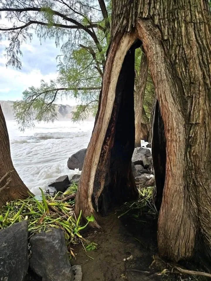 Descubre El Salto, las impresionantes cascadas de Michoacán. Cómo llegar, qué hacer y por qué es uno de los destinos naturales más impactantes. ¡Este lugar te espera!