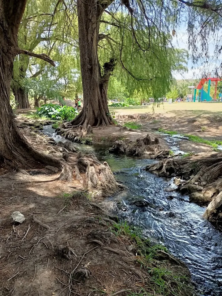 Descubre un manantial de agua turquesa en Puebla a menos de 3 horas de la CDMX. Un oasis natural perfecto para escapar el fin de semana. ¿Te gustaría conocerlo?