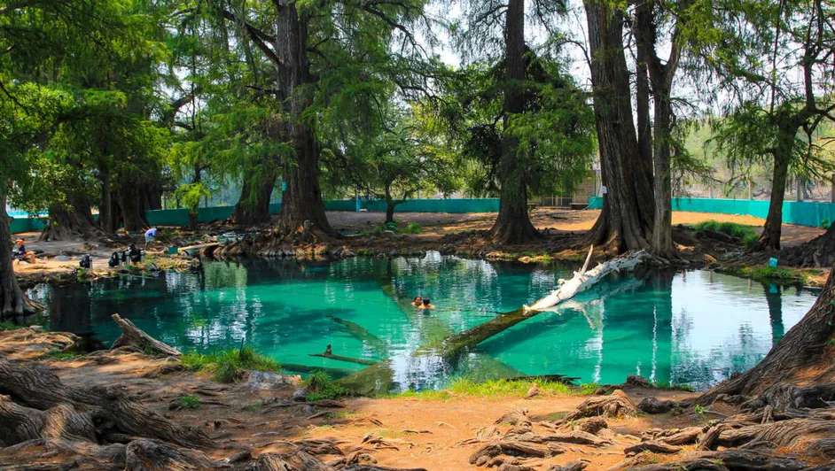 Descubre un manantial de agua turquesa en Puebla a menos de 3 horas de la CDMX. Un oasis natural perfecto para escapar el fin de semana. ¿Te gustaría conocerlo?
