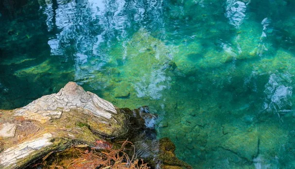 Descubre un manantial de agua turquesa en Puebla a menos de 3 horas de la CDMX. Un oasis natural perfecto para escapar el fin de semana. ¿Te gustaría conocerlo?