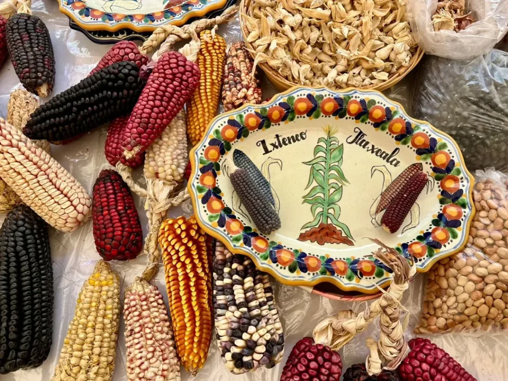 Descubre Ixtenco, el Pueblo Mágico de Tlaxcala famoso por su gastronomía ancestral otomí, sus ingredientes nativos y su cultura viva. Es momento de que lo conozcas.