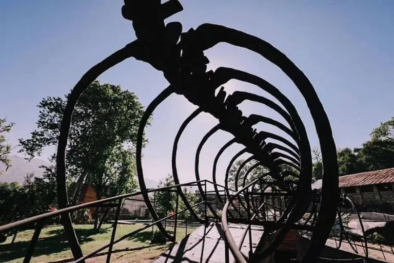 Así es el nuevo Museo de Dinosaurios en Nuevo León: fósiles, experiencias interactivas y un viaje al pasado