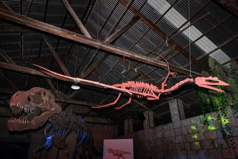 Así es el nuevo Museo de Dinosaurios en Nuevo León: fósiles, experiencias interactivas y un viaje al pasado